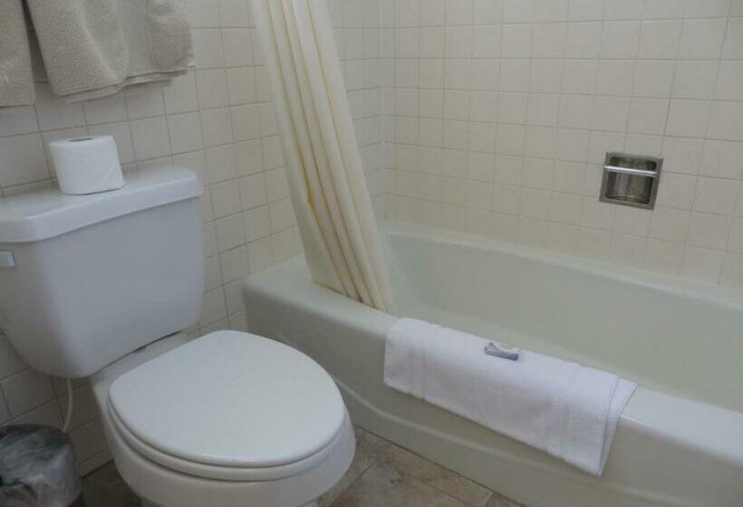 Mini Suite, Bristlecone Motel