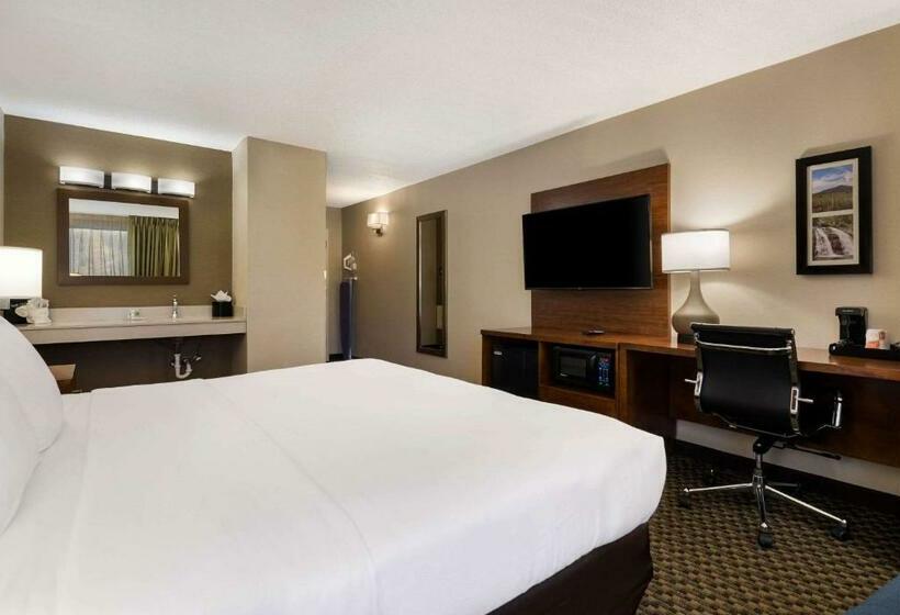 Номер Стандарт Кровать Кинг Адаптированный для Инвалидов, Comfort Inn Virginia Horse Center