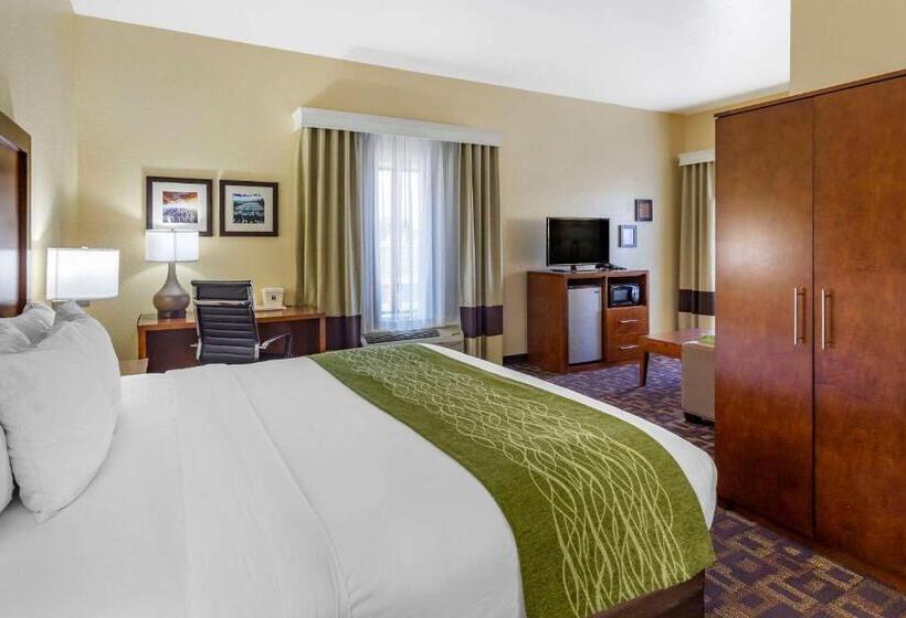스탠다드 룸 킹사이즈 침대, Comfort Inn & Suites North Aurora   Naperville