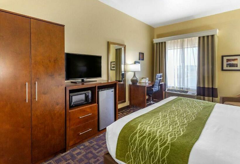 장애인을 위한 킹사이즈 침대 스탠다드 룸, Comfort Inn & Suites North Aurora   Naperville