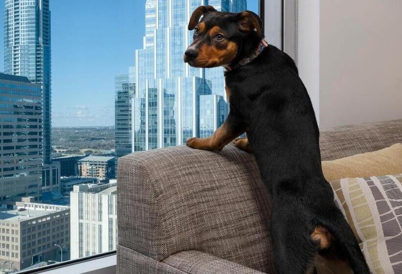 غرفة ديلوكس لذوى الاحتياجات الخاصة, Element Austin Downtown