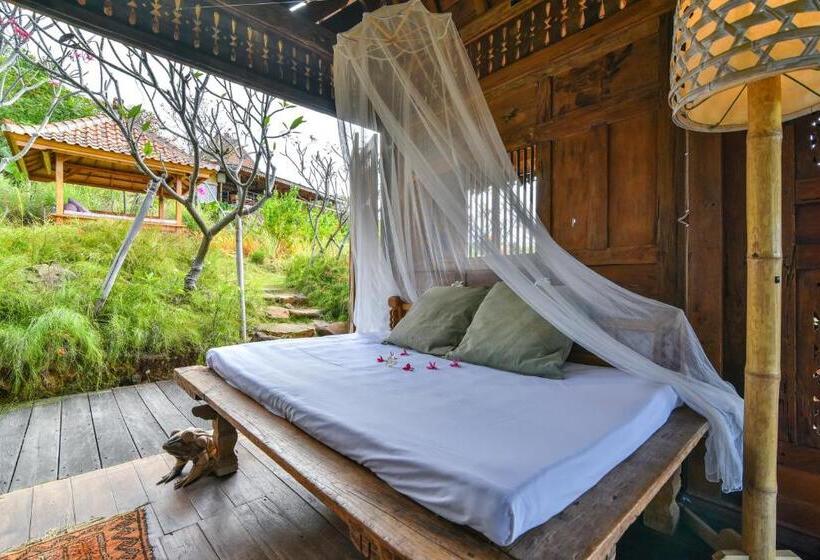 Номер Стандарт, Sumberkima Hill Retreat