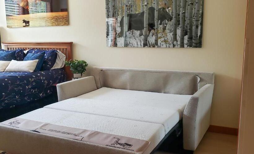 2 Bedrooms Apartment Mountain View, Deluxe Solitude Mountain Ski In Out 2bd 2ba Condo