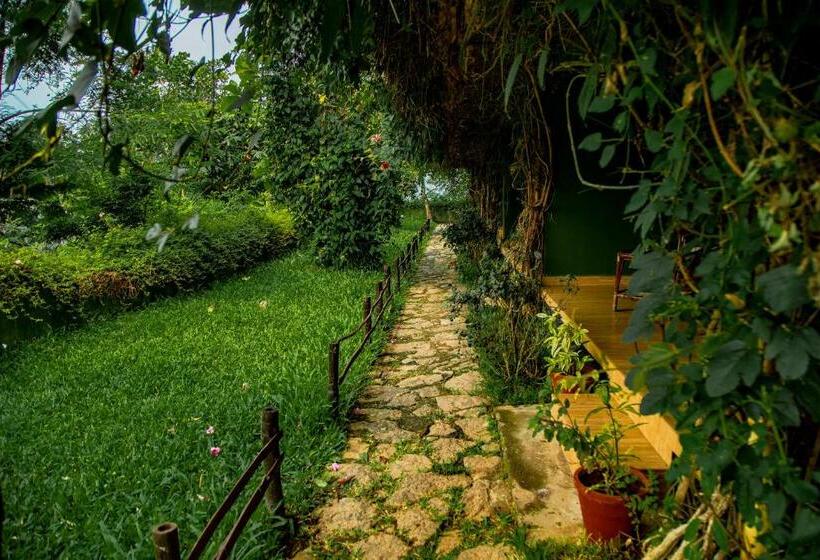 高级客房, Ecotones Munnar By Eden Environs