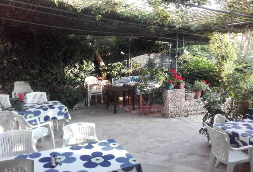 Студия Стандарт, Guest House Green Corner Supetarska Draga