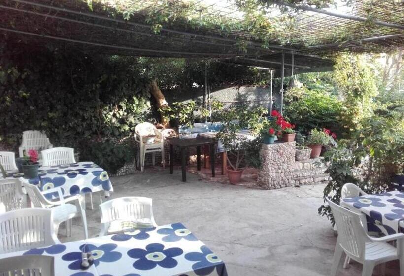 Студия Стандарт, Guest House Green Corner Supetarska Draga