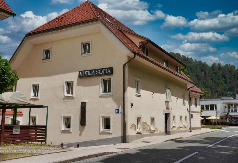 آپارتمان 1 خوابه با تراس, Vila Sofia