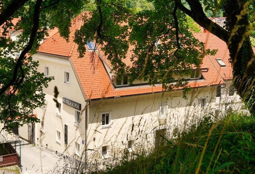 اتاق استاندارد یک نفره, Vila Sofia