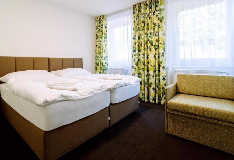 اتاق استاندارد با تخت بزرگ برای معلولان, Retro Hotel Jiskra