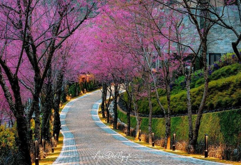 اتاق لوکس, Garrya Mù Cang Chải