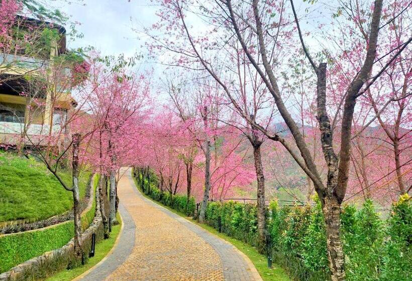 ویلای 1 خوابه, Garrya Mù Cang Chải