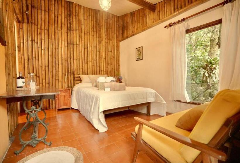 スタンダードルーム, Quinta La Concepción, Cuetzalan Puebla