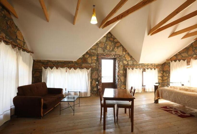 Номер Стандарт, Apaga Resort