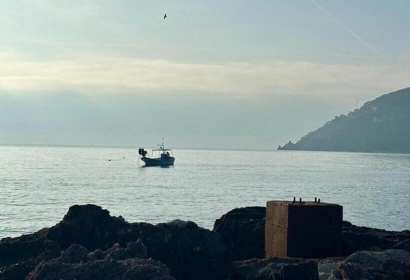 수피리어 룸, Riviera Beach