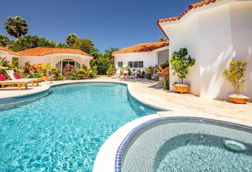‫فيلا غرفة نوم واحدة, El Encuentro Surf Lodge