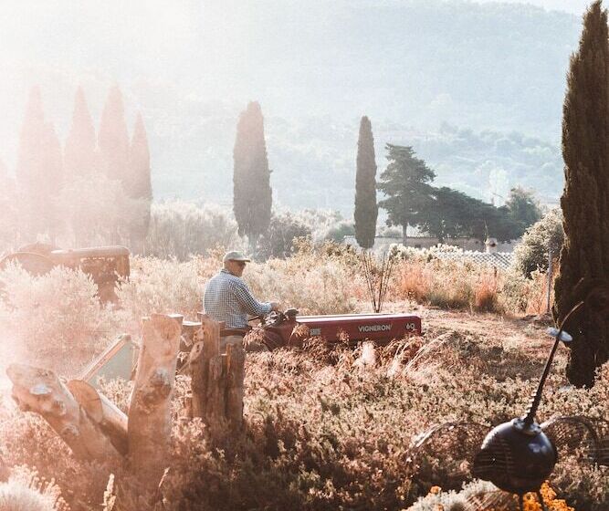 جناح جونيور ديلوكس, Finca Ca N Ai  Adults Only