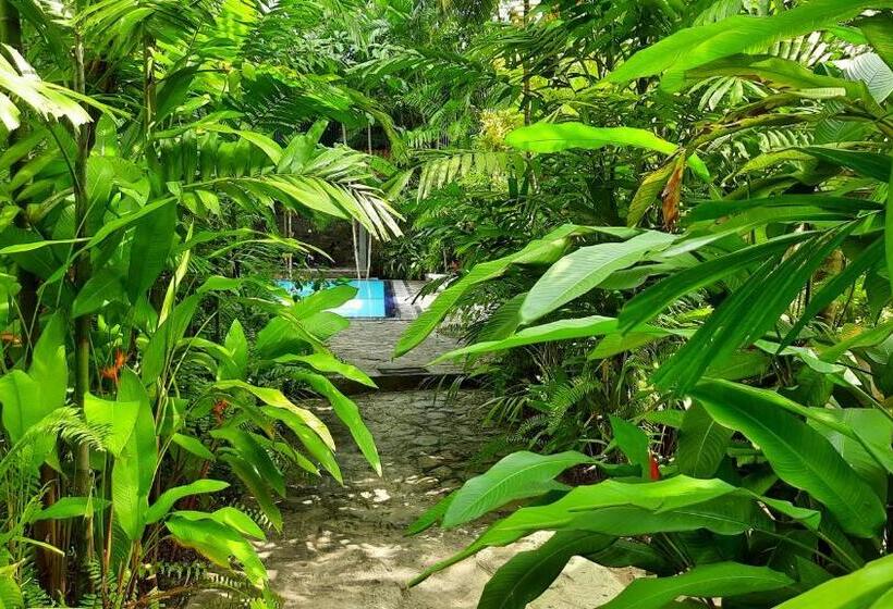 Apartamento 1 Dormitório Vista Piscina, Nirmala Villa
