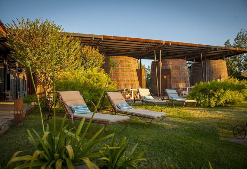 Номер Премиум, Cava Colchagua Hotel Boutique