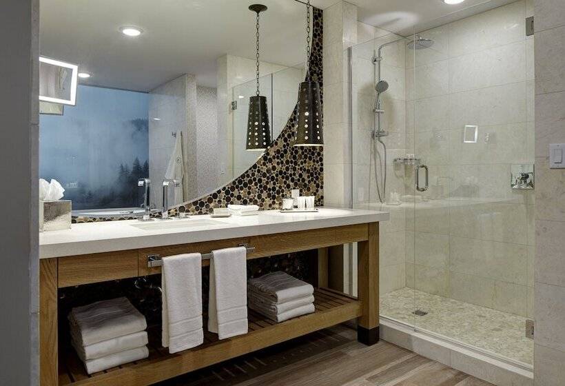 Люкс Адаптированный для Инвалидов, Archer Hotel Napa