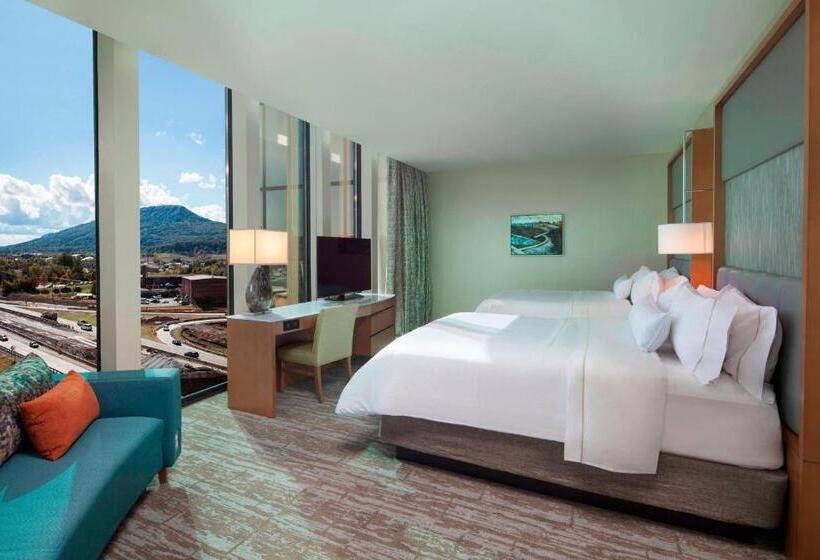Номер Стандарт Вид на Город, The Westin Chattanooga