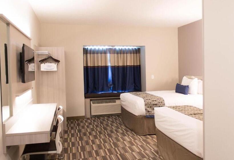 غرفة قياسية لذوى الاحتياجات الخاصة, Microtel Inn & Suites By Wyndham Springville