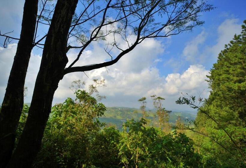 スーペリアールーム, Adrak Summer Sand Hill Resort Vagamon