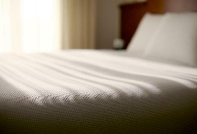 Номер Стандарт, Hyatt Place Cincinnati/sharonville Convention Center