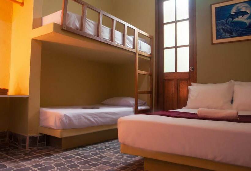 패밀리 룸, Punta Sal Bungalows