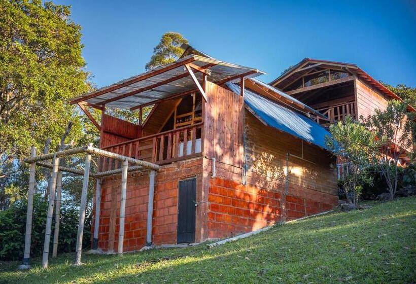 Шале 1 Спальня, Cabañas Y Glamping Colinas De San Diego