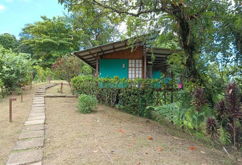 Quarto Estandar, Finca Maresia