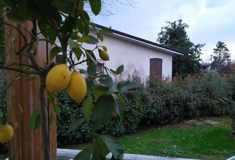 Вилла 1 Спальня, Villa Degli Ulivi