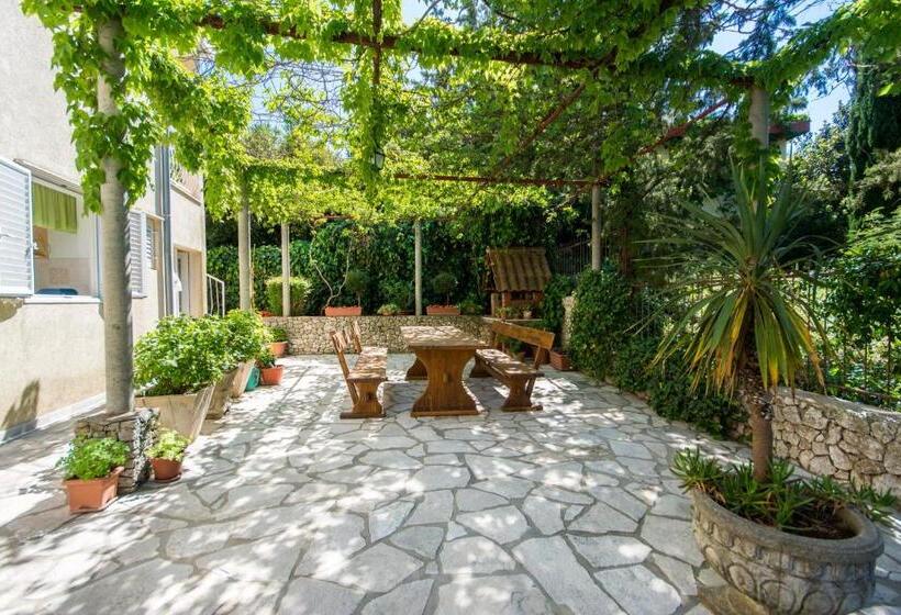 استودیوی لوکس, Apartments & Rooms Jokovic