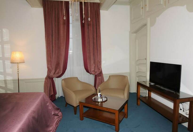 Полулюкс Вид на Сад, Hôtel Victor Hugo