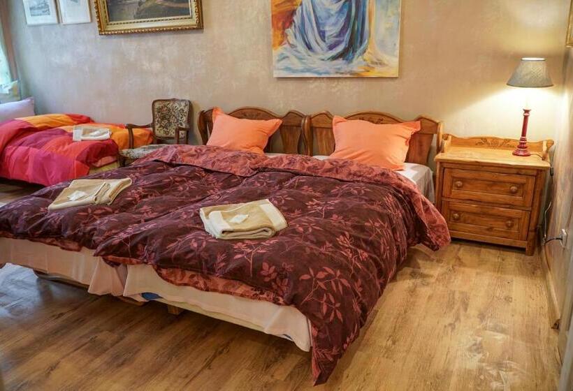 اتاق استاندارد چهارنفره با سرویس بهداشتی مشترک, Rooster Hostel