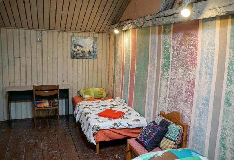 اتاق استاندارد چهارنفره با سرویس بهداشتی مشترک, Rooster Hostel