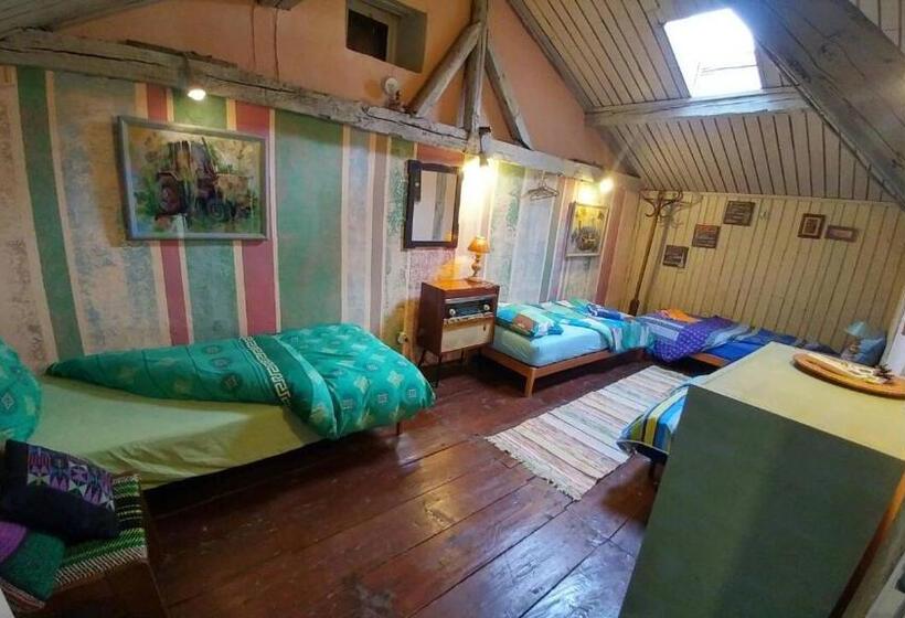 اتاق استاندارد چهارنفره با سرویس بهداشتی مشترک, Rooster Hostel
