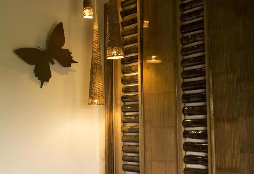 سوییت جونیور, Casa San Carlos Lodge Pereira