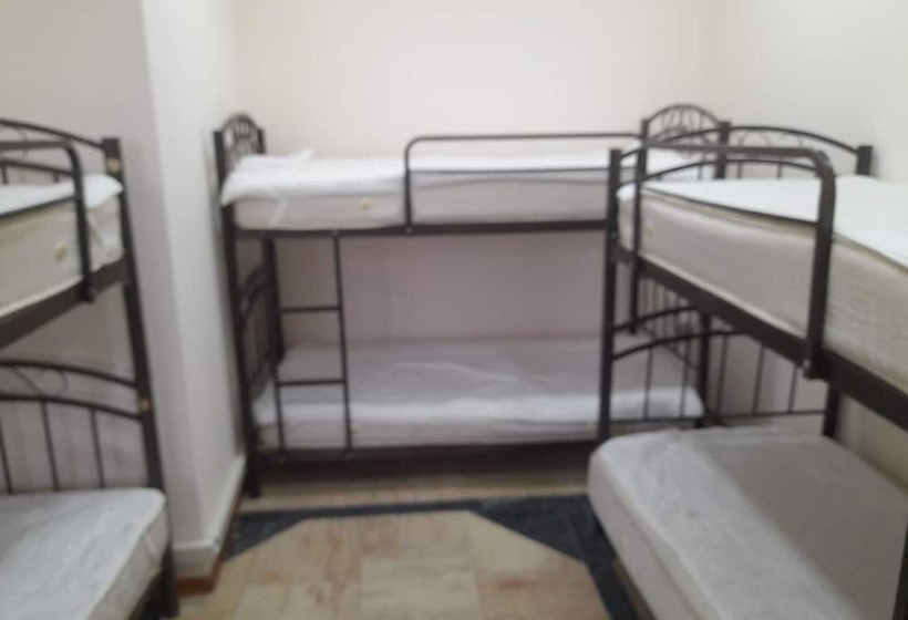 تختخواب در اتاق مشترک, White City Hostel