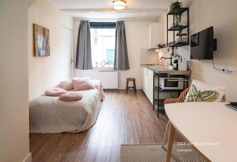 Студия Deluxe, De Stadsboerderij