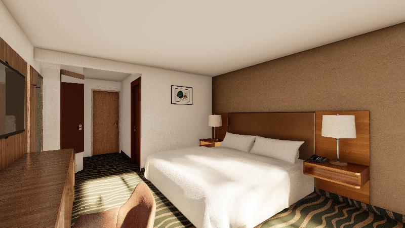 스탠다드 룸 킹사이즈 침대, Holiday Inn   San Jose La Sabana, An Ihg