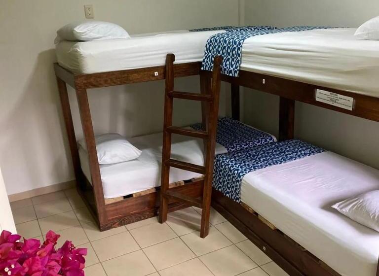 ルームシェアのワンベッド, Hostal Casa Huasteca