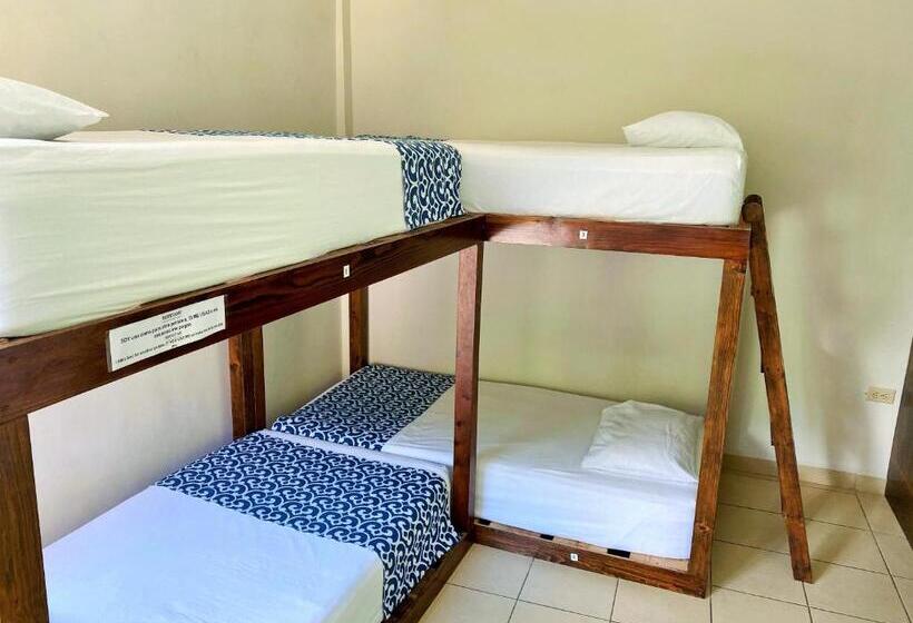 スタンダード４人部屋, Hostal Casa Huasteca