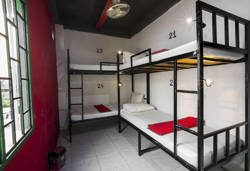 Кровать в Общей Комнате, Vangvieng Rock Backpacker Rooftop Hostel