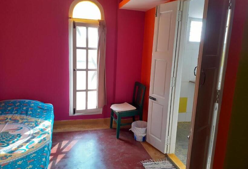 스탠다드 싱글 룸, Holi Wood Guesthouse