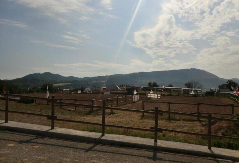 Номер Стандарт, Relais Black Horse