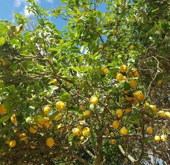 스탠다드 룸, Casa Di Campagna Dal Pozzo