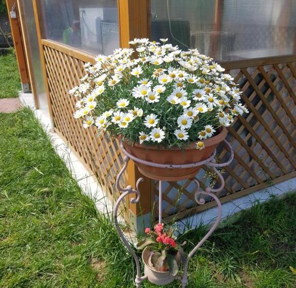 스탠다드 방갈로 정원 전망, Casa Di Campagna Dal Pozzo