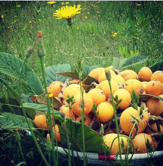 스탠다드 룸, Casa Di Campagna Dal Pozzo