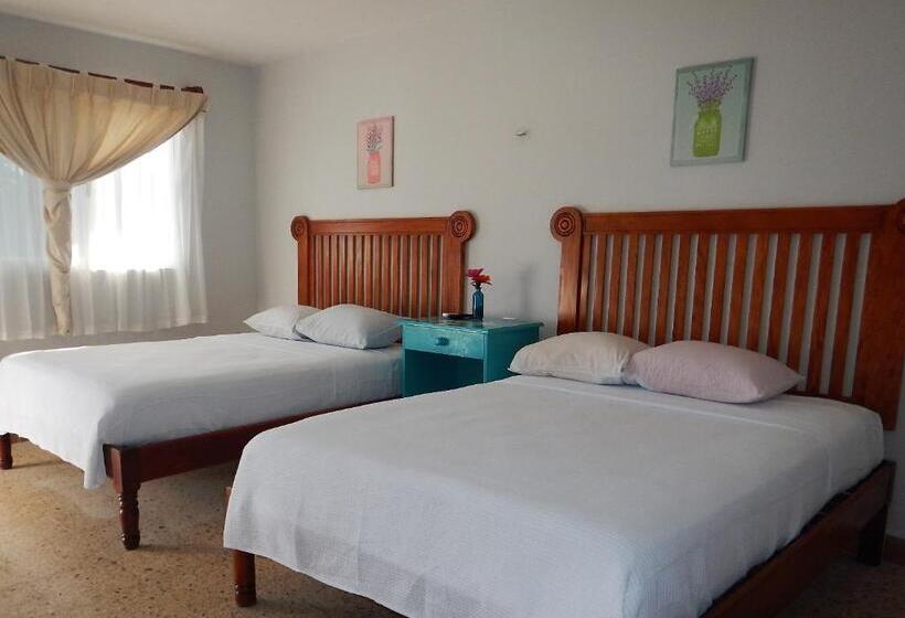 Номер Стандарт, Blue Coconut Cancun