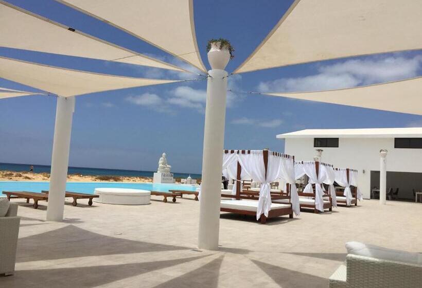 اتاق استاندارد با تراس و چشم‌انداز دریا, Livvo Budha Beach